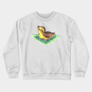 Mallard Duckling Crewneck Sweatshirt